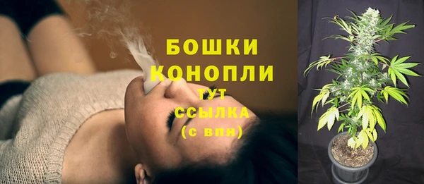 трава Каменка