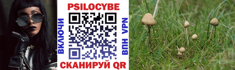 Купить Пугачёв Галлюциногенные грибы Psilocybine cubensis